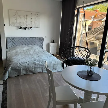 公寓 Cozy In Paupys 维尔纽斯
