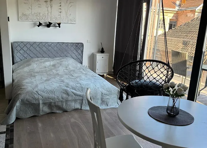 Apartment Cozy In Paupys Vilnius